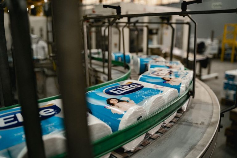 Catspins Deutschland: Erfahre alles über die neuesten Boni und Freispiele